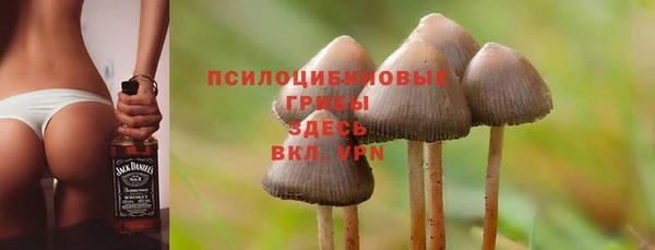 стаф Лиски