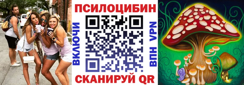 Псилоцибиновые грибы GOLDEN TEACHER  мориарти наркотические препараты  Тверь 