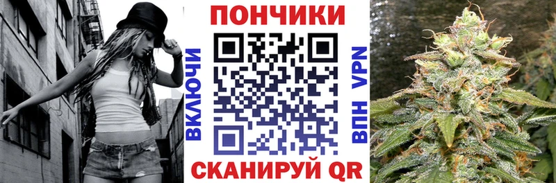 Каннабис OG Kush  Тверь 